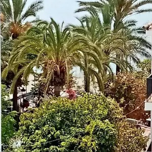 Apartament Old Town, Estepona